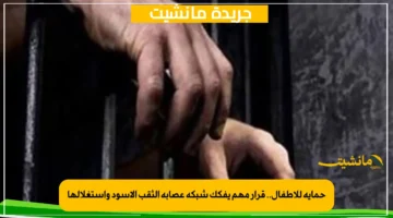 حماية للأطفال.. قرار مهم يفكك شبكة عصابة الثقب الأسود واستغلالها 1